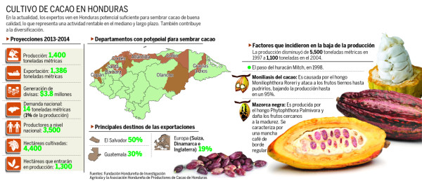 Cacaoteros hondureños cuadruplican su parque de producción