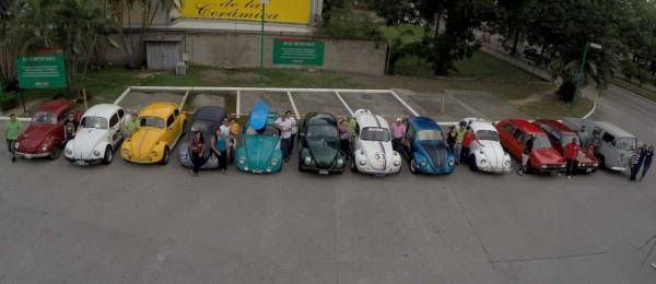 Así es el selecto club de los escarabajos