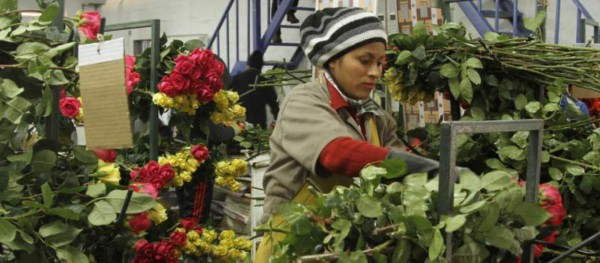 Ecuador se lanza a conquistar mercado de San Valentín