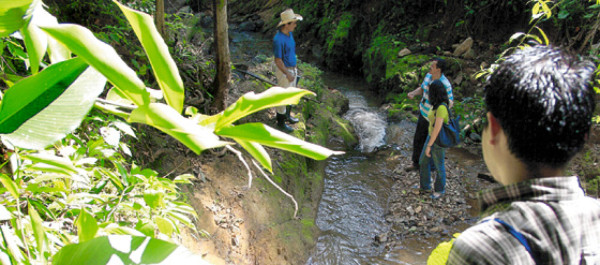 Escarban los ríos para hallar oro