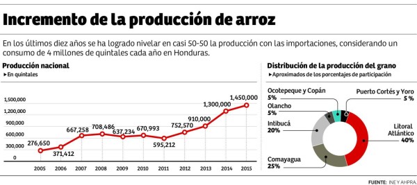 En un 7% crecerá la producción de arroz de Honduras para 2016