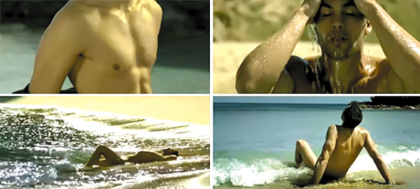 Pingüino perdido no volverá a la Antártida