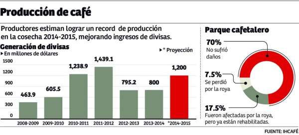 Mejor cosecha y altos precios auguran buen 2015 para el café