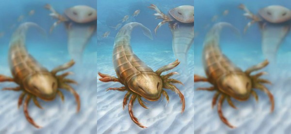 Pentecopterus, el temible escorpión marino