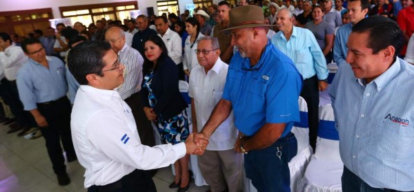 Gobierno otorgará L100 millones a productores de carne de cerdo