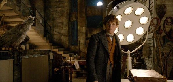 'The Crimes of Grindelwald' debuta con 62,2 millones de dólares