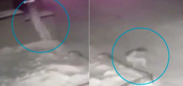 Video viral: niña rusa sobrevive tras caer al vacío desde un cuarto piso