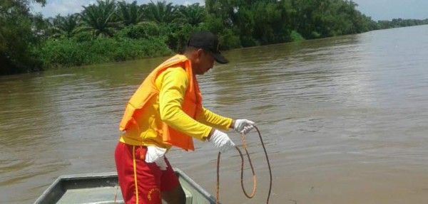 Rescatan cadáver de hombre en las aguas del río Ulúa