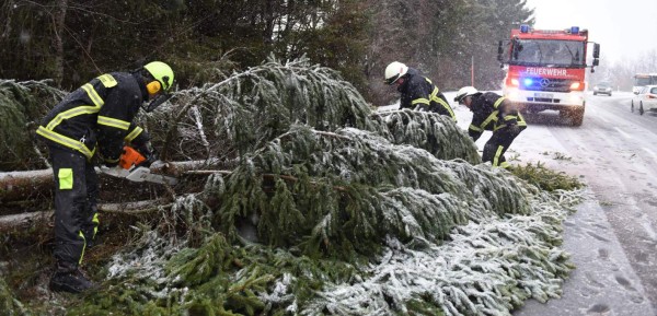 Firemen remove a fallen tree from the road at the Feldberg mountain in the Black Forest, southwestern Germany, after heavy storms caused traffic chaos in southern and western parts of the country on January 3, 2018. / AFP PHOTO / dpa / Patrick Seeger / Germany OUT