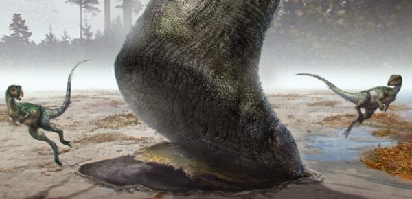 El pie de dinosaurio más grande descubierto hasta la fecha