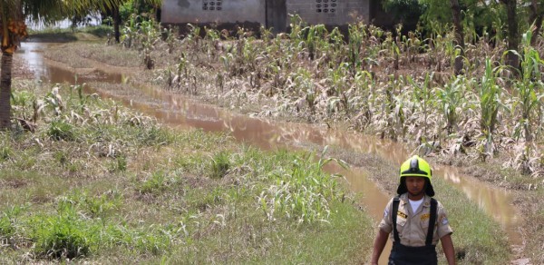 Gobierno y sector agropecuario evalúan pérdidas por lluvias