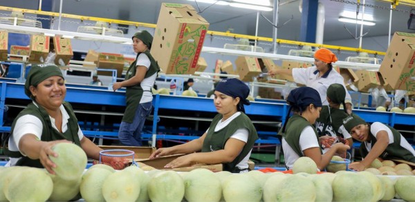 Proyectan crecimiento de 4.1% para la economía hondureña
