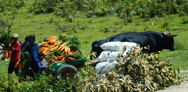 Ruta Lenca: Caminando por Intibucá, La Esperanza y Yamaranguila