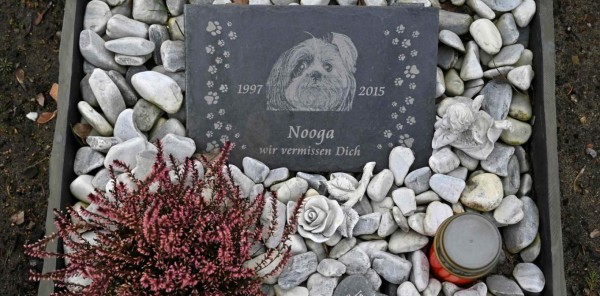 El insólito cementerio para perros que hasta ofrece ayuda psicológica para superar el duelo