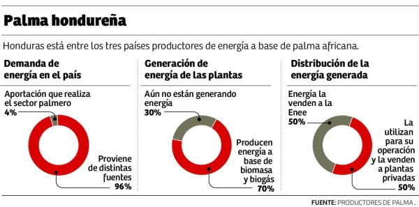 Honduras es líder mundial en generación de energía a base de palma