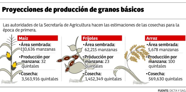 Más de 5.5 millones de quintales producirá la cosecha de primera
