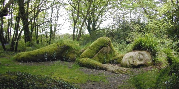 La belleza de los Jardines Perdidos de Heligan