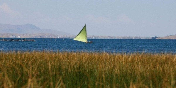 Descubren restos fosilizados de tiburón de 400 millones de años en Perú
