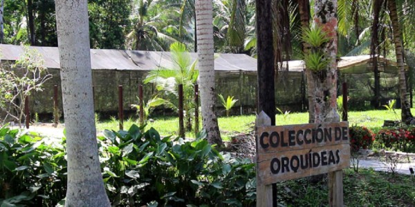 Invertirán L60 millones en Lancetilla