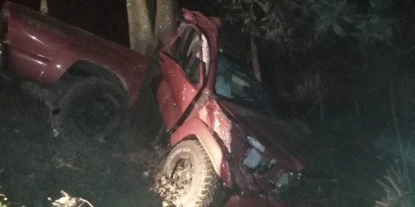 Alcalde hondureño estrella su vehículo contra árbol y cae en hondonada