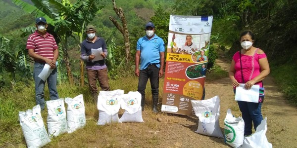 Más de 1,400 caficultores reciben semilla mejorada de frijol