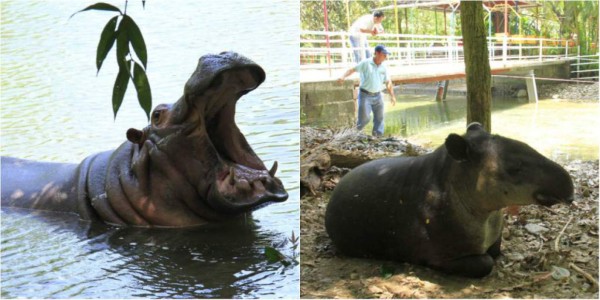 'Juancho' y 'Paquita', un ejemplo de amor en el Caribe de Honduras