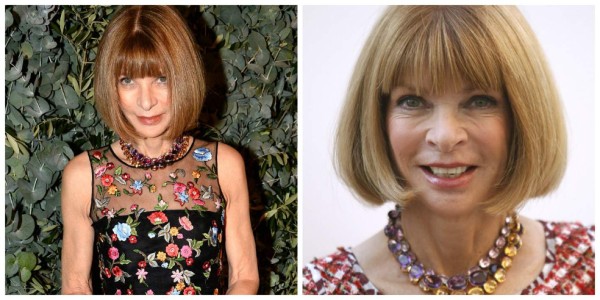 Anna Wintour rechaza bloguera