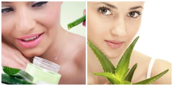 Aloe vera para la caída del cabello