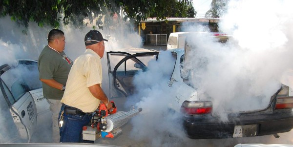 Sigue la guerra contra la chikungunya en Honduras