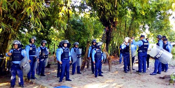 Campesinos se toman 4,000 héctareas de palma