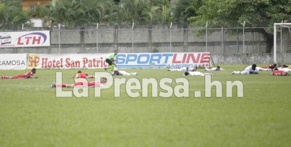 Enjambre de abejas mandó al suelo a jugadores en Honduras