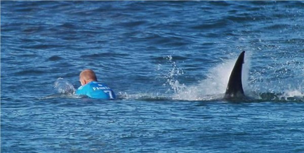 Surfista profesional sobrevive al ataque de un tiburón