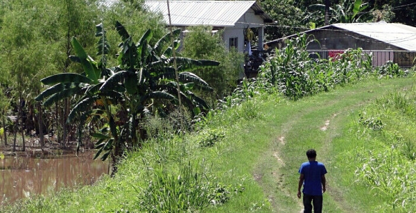 Miden nivel de respuesta en caso de desastres naturales