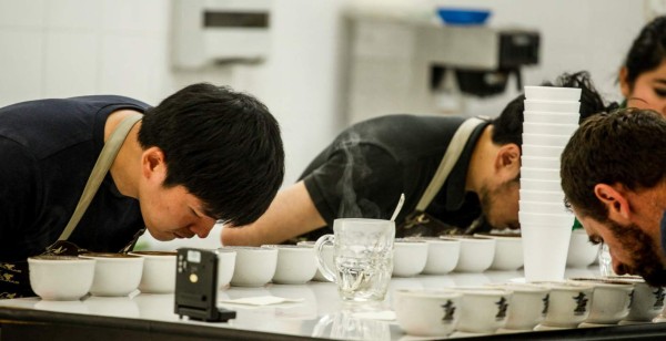 Honduras provee productos orgánicos a más de 26 países