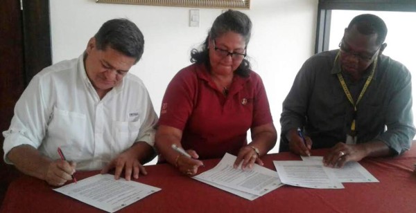 Abren carrera técnica sobre cacao en la Unah de Tela