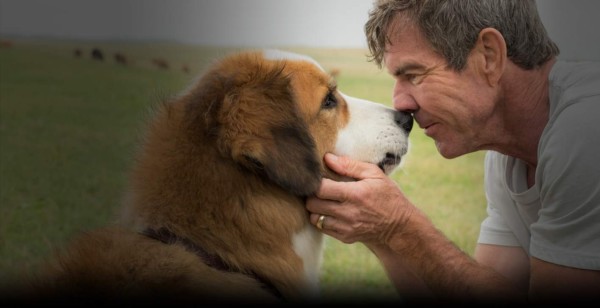 Denuncian película de Dennis Quaid por maltratar a un perro