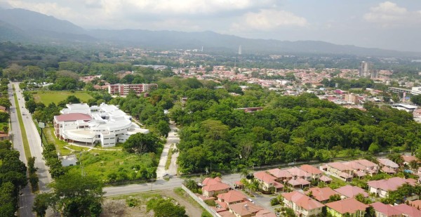 Hacer de San Pedro Sula una ciudad más verde es objetivo para 2018