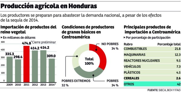 Productores buscan satisfacer la demanda de granos básicos