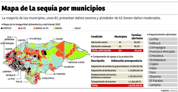 El 50% de la siembra de granos básicos se pierde por sequía