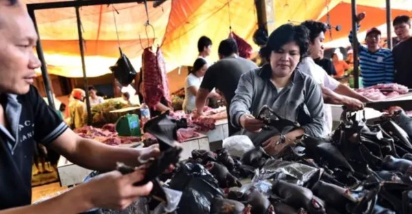 Video viral: China sigue vendiendo y consumiendo animales vivos en sus mercados