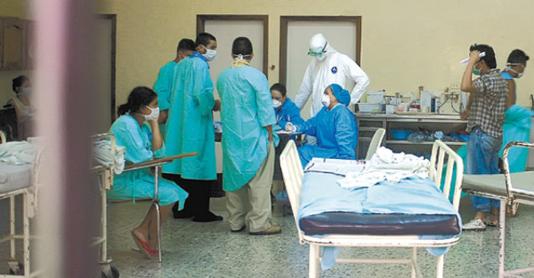 Honduras garantiza sanidad de carne de cerdo