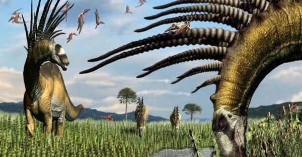 Descubren una especie de dinosaurio saurópodo