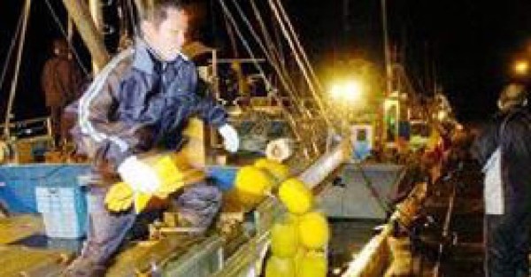 Advertencia de tsunami tras terremoto en Japón