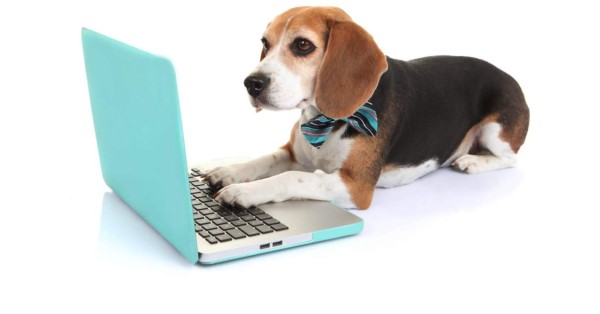 Perros aprenden a jugar videojuegos