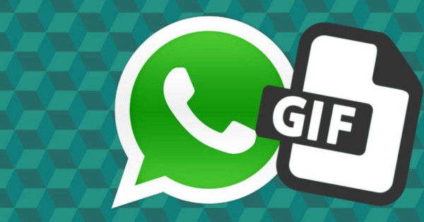 Beta de WhatsApp permite crear y enviar GIF