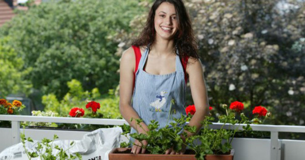 Reviva las plantas de su jardín