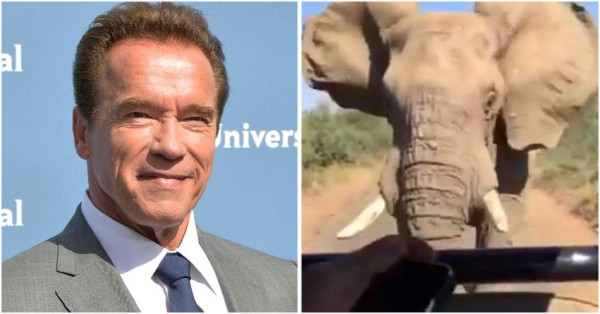 El susto de Arnold Schwarzenegger al ser perseguido por un elefante