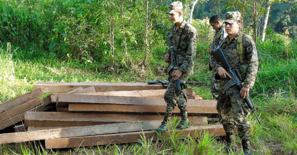 La foto del caos en la Biosfera del Río Plátano