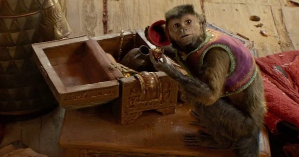 A lo Aladdín: Hombres utilizaban monos para robar dinero en India