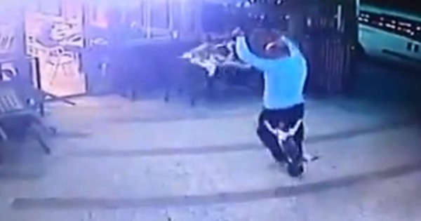 Video viral: gato ‘endiablado’ ataca a hombre y a su perro